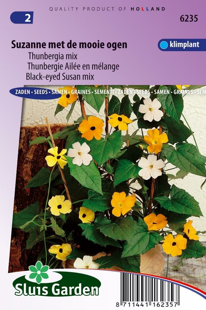 Thunbergia zaden Suzanne met de mooie ogen van Sluis Garden