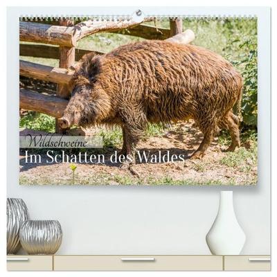 Wildschweine - Im Schatten des Waldes (hochwertiger Premium Wandkalender 2027 DIN A2 quer), Kunstdruck in Hochglanz