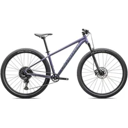 Specialized Rockhopper Comp Satin Mauve Metallic/Fjord Metallic, Rahmenhöhe M (29 Zoll)