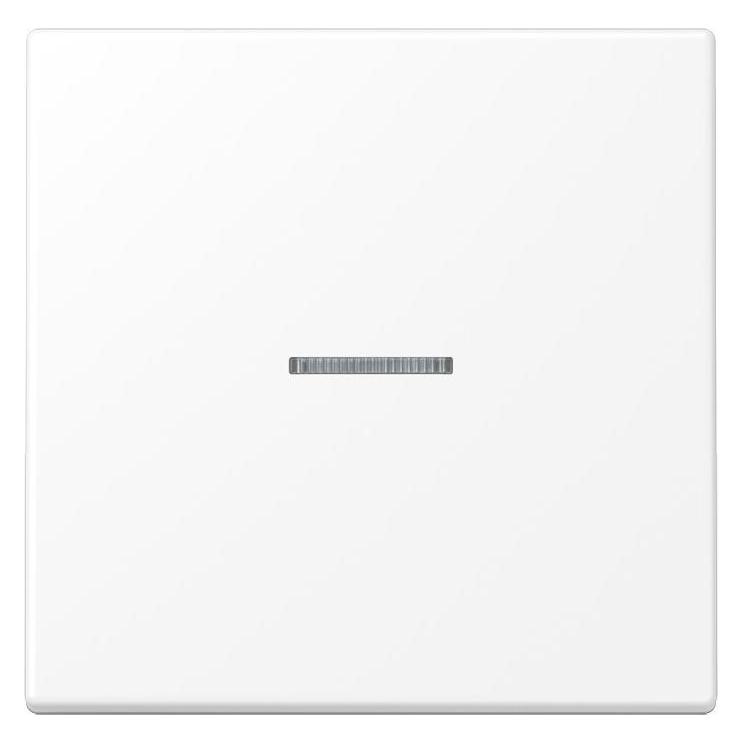 JUNG Kontrollwippe Schalter LS ws mt LS101KO5WWM (LS101KO5WWM)