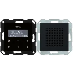 Gira UP-Radio RDS Lautsprecher System 55 Schwarz m (FM, Radio Frequency (RF)), Radio, Schwarz