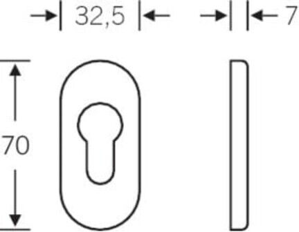 FSB PT-Schlüsselrosette PZ 0 17 1757 oval, F69 matt (0 17 1757 00010 6204)
