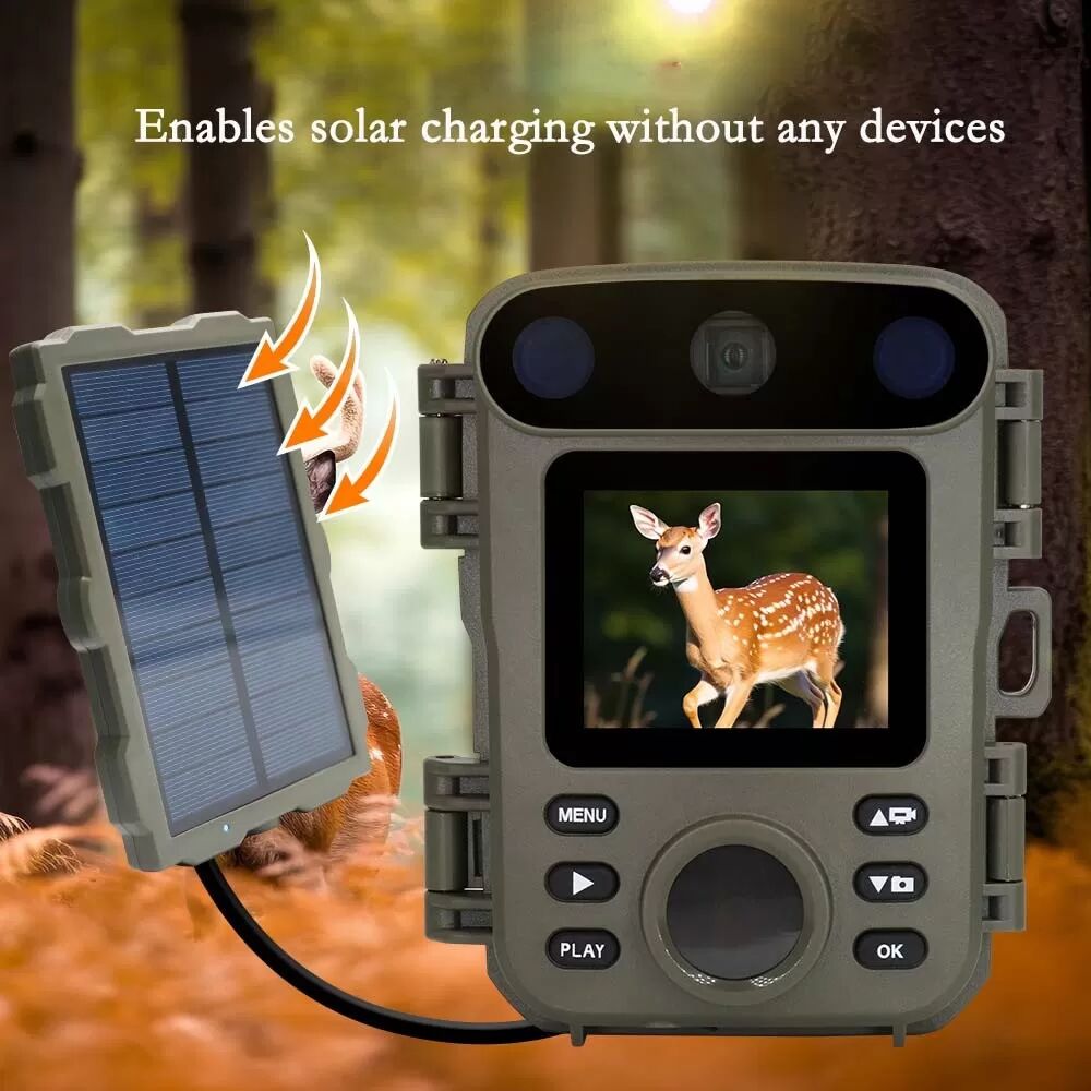 INF 1080P Mini Jagdkamera - Infrarot-Nachtsicht, Wasserdichte Wildkamera für Wildtierüberwachung
