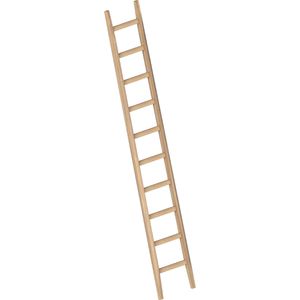 Layher Anlegeleiter 1036, Länge 3m, Bau-Anlegeleiter, aus Holz mit 10 Sprossen