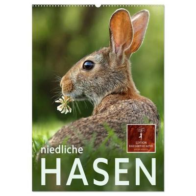Niedliche Hasen (Wandkalender 2027 DIN A2 hoch), CALVENDO Monatskalender