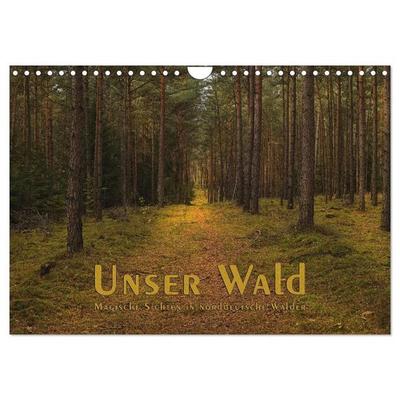 Unser Wald - Magische Sichten in norddeutsche Wälder (Wandkalender 2027 DIN A4 quer), CALVENDO Monatskalender