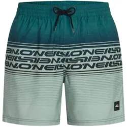 O'Neill Logo Stripe 16 Swim Shorts grün