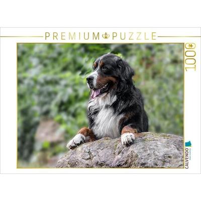 CALVENDO Puzzle Berner Sennenhund Aiko | 1000 Teile Lege-Größe 64x48cm Foto-Puzzle für glückliche Stunden