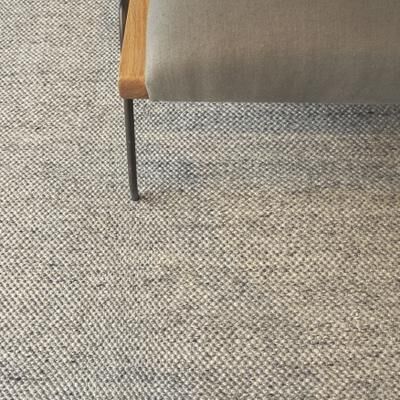EXQUISITE RUGS Rhodes Hand-loomed PET yarn Beige Area Rug.