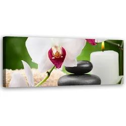 WANDBILD zen orchidee blumen
