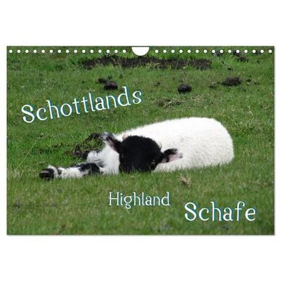 Schottlands Highland Schafe (Wandkalender 2027 DIN A4 quer), CALVENDO Monatskalender