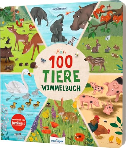 Sibylle Schumann - Mein 100 Tiere-Wimmelbuch: Heimische Tiere und Tiere aus aller Welt - Preis vom 13.10.2026 11:25:28 h