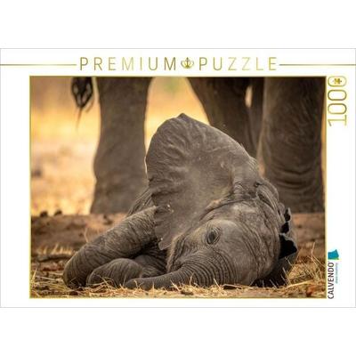 CALVENDO Puzzle Elefantenbaby schlafend und gut beschützt | 1000 Teile Lege-Größe 64x48cm Foto-Puzzle für glückliche Stunden