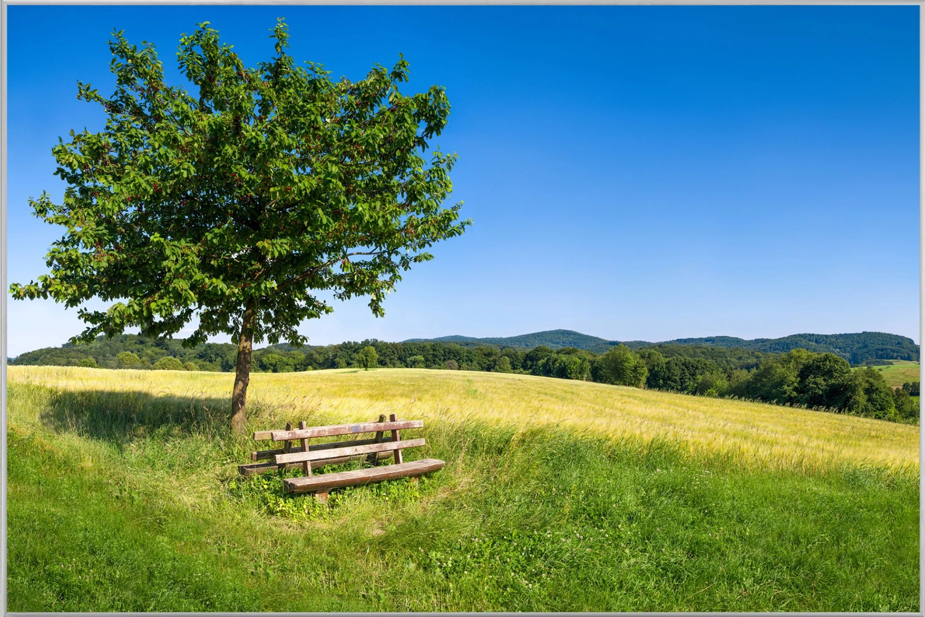 image LAND Baum mit Bank