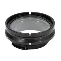 Nauticam Port Kompaktkamera - N50 Short Port 25 with M67 thread for wet wide angle lenses