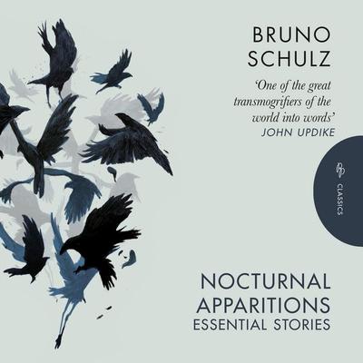 Nocturnal Apparitions - Bruno Schulz, Audio, 9781782697114