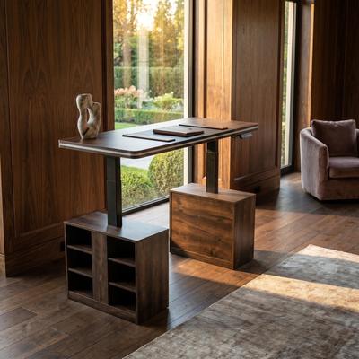 Timechee "63"" Electric Standing Desk with Dual Storage Cabinets,Home Office Desk with LED Power Outlet, Height Adjustable Workstation"