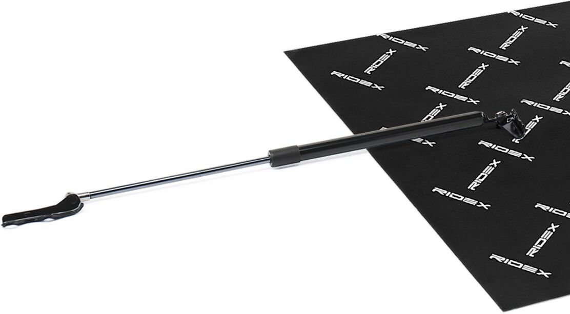 RIDEX 219G1063 Tailgate strut