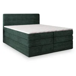 BOXSPRINGBETT LUNERA 140x200 cm mit Matratze und Topper - Grün