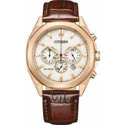 Citizen Eco-Drive Herrenuhr CA4593-15A