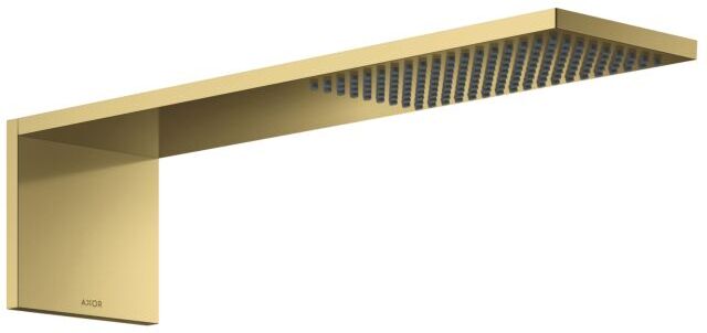 Hansgrohe ShowerComposition Kopfbrause 12592990 110x220mm, Wandmontage, 1jet, polished gold optic