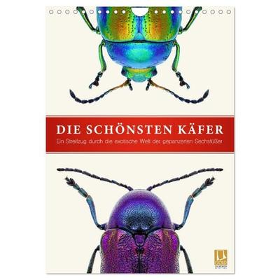 Die schönsten Käfer (Wandkalender 2026 DIN A4 hoch), CALVENDO Monatskalender