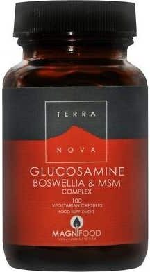 TERRANOVA Glucosamina Boswelia Msm Complex 100caps