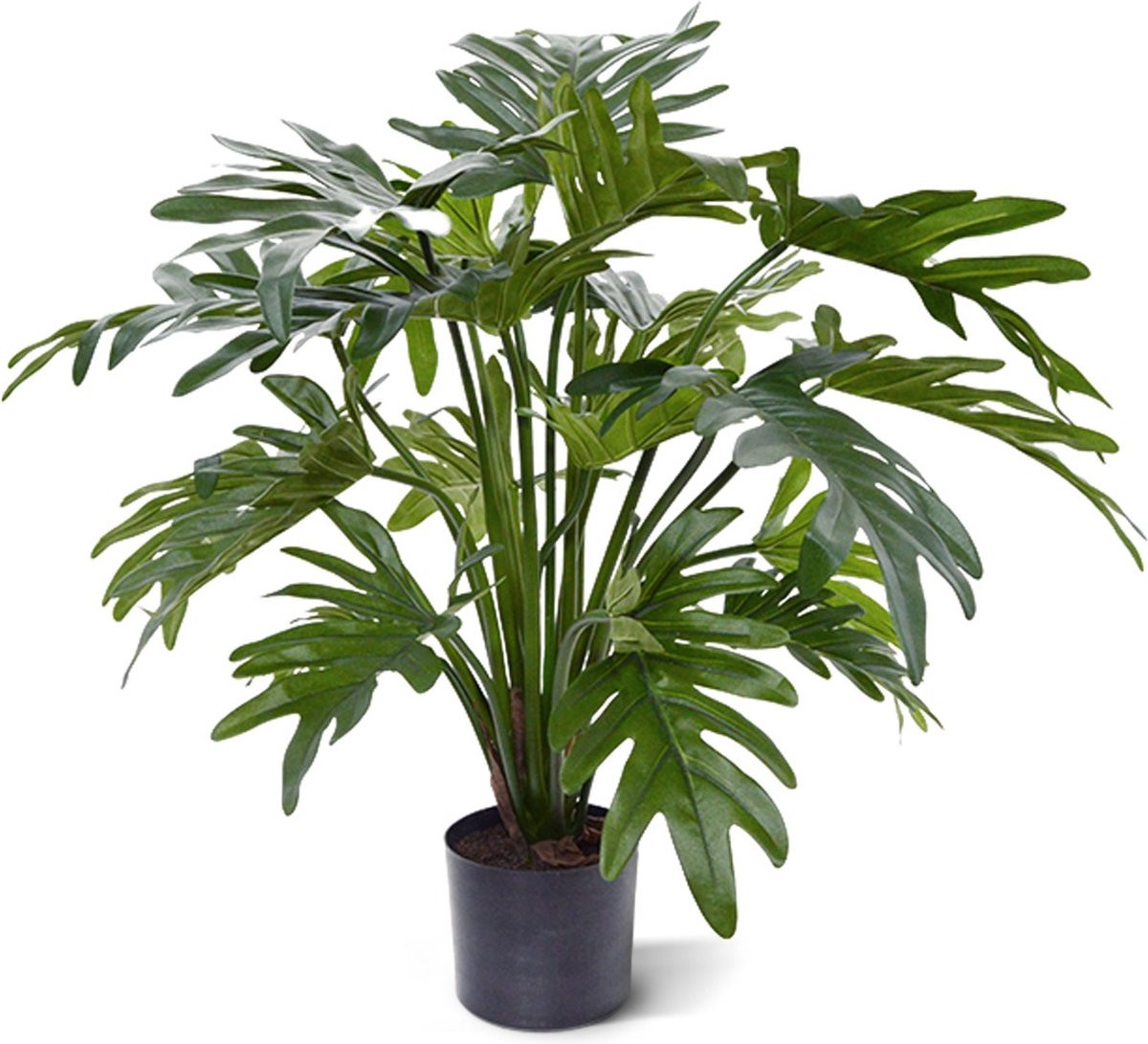 Philodendron Xanadu kunstplant, 50 cm, groen