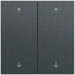 Gira Wippe Serien Schalter anthrazit lackiert 538773 Pfeile