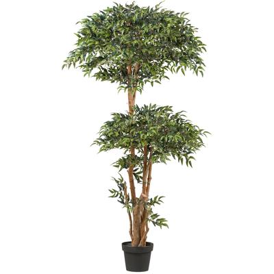 Kunstpflanze CREATIV GREEN "Ruscus", grün, H:170cm, Kunststoff, Kunstpflanzen, Kunstpflanze, in toller Größe