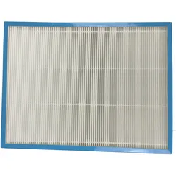 HEPA Filter (einzeln) WDH-220B