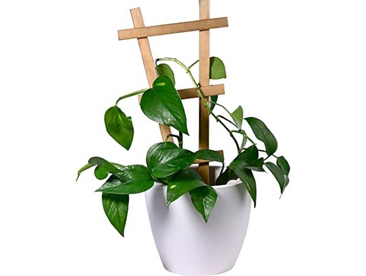 dobar® Select. Dekorative Blumentopf-Rankhilfe Sorento - 4er-Set Rankgitter aus Holz - 19 x 1,4 x 39 cm -Pflanzstütze Gr. M - Braun