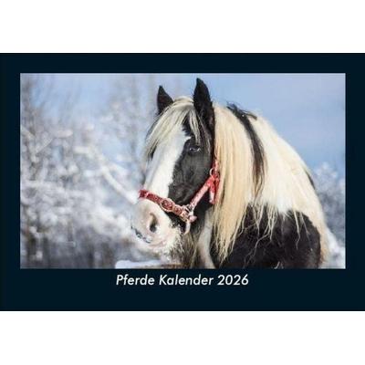 Pferde Kalender 2026 Fotokalender DIN A5