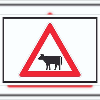 HB-Druck Schild Achtung Viehbetrieb Tiere Symbole A5 (148x210mm)