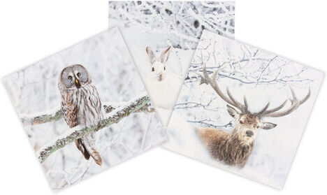 Canvas-Coupon "Wintertiere", grau-color