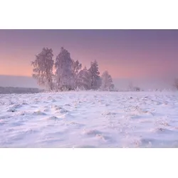 Fototapete PAPERMOON "Schneelandschaft", bunt, B:4,5m L:2,8m, Vlies, Tapeten