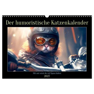 Der humoristische Katzen Kalender (Wandkalender 2027 DIN A3 quer), CALVENDO Monatskalender
