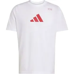 ADIDAS Herren Shirt CLIMACOOL Category Training Graphic, Größe M in Pink Pink