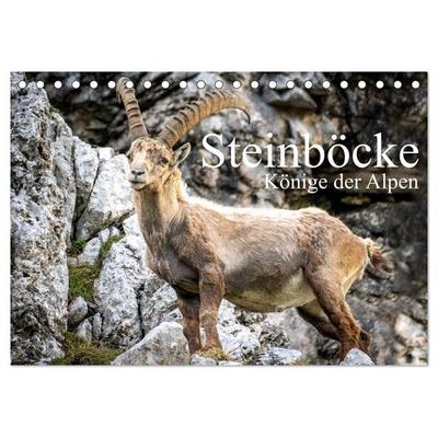 Steinböcke - Majestätische Tiere der Alpen (Tischkalender 2027 DIN A5 quer), CALVENDO Monatskalender