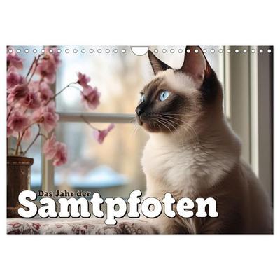 Das Jahr der Samtpfoten (Wandkalender 2027 DIN A4 quer), CALVENDO Monatskalender