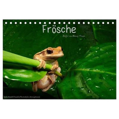 Frösche (Tischkalender 2027 DIN A5 quer), CALVENDO Monatskalender