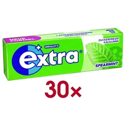 WRIGLEY ́S Extra PROFESSIONAL Kaugummis »SPEARMINT« 30x 10 Dragees/480 g grün