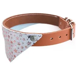 Martin Sellier Miami (62, Hund), Halsband + Leine