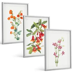 BILDER SET 3er Set - 40x60 cm Silberner Rahmen - Vintage-Retro-Blumenmalerei