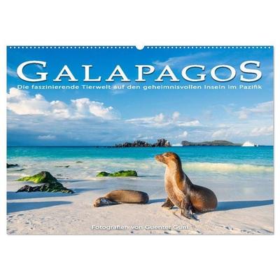 Die faszinierende Tierwelt der Galapagos-Inseln (Wandkalender 2027 DIN A2 quer), CALVENDO Monatskalender