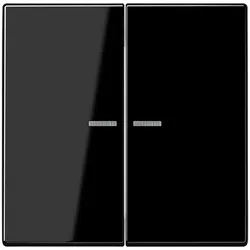 Jung Wippe LS 102 KO5 SW