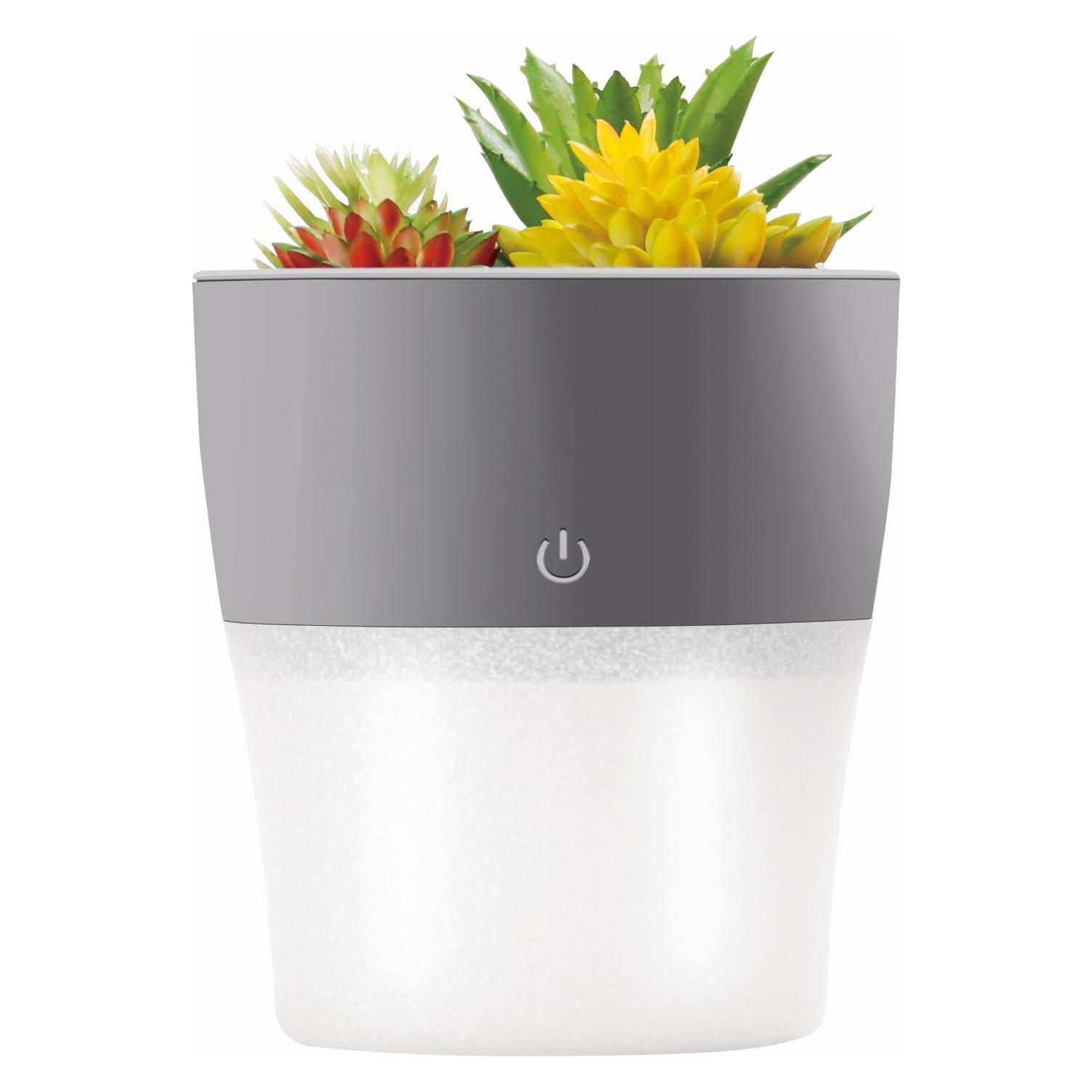 Setty humidifier NP-18 grey (65283736)