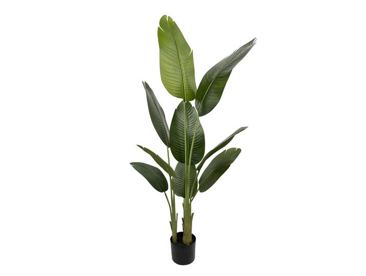 Strelitzie künstlich 160 cm