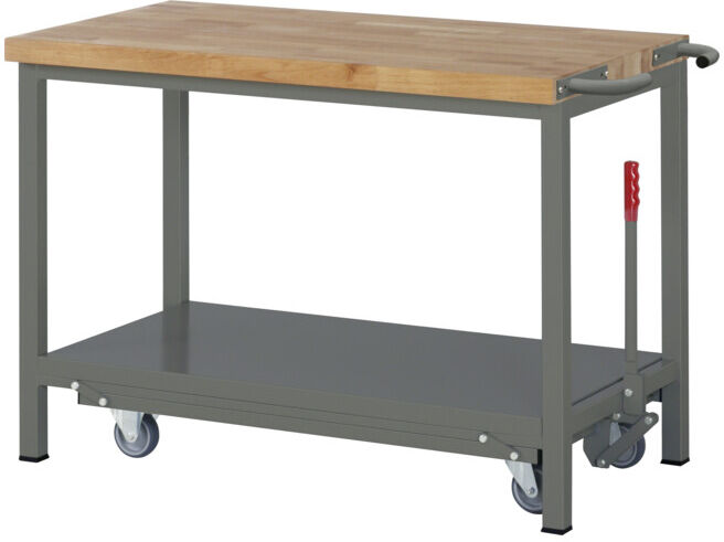 Etabli STIER Premium avec châssis roulant abaissable, lxPxH 1 250x700x880 mm (904806)