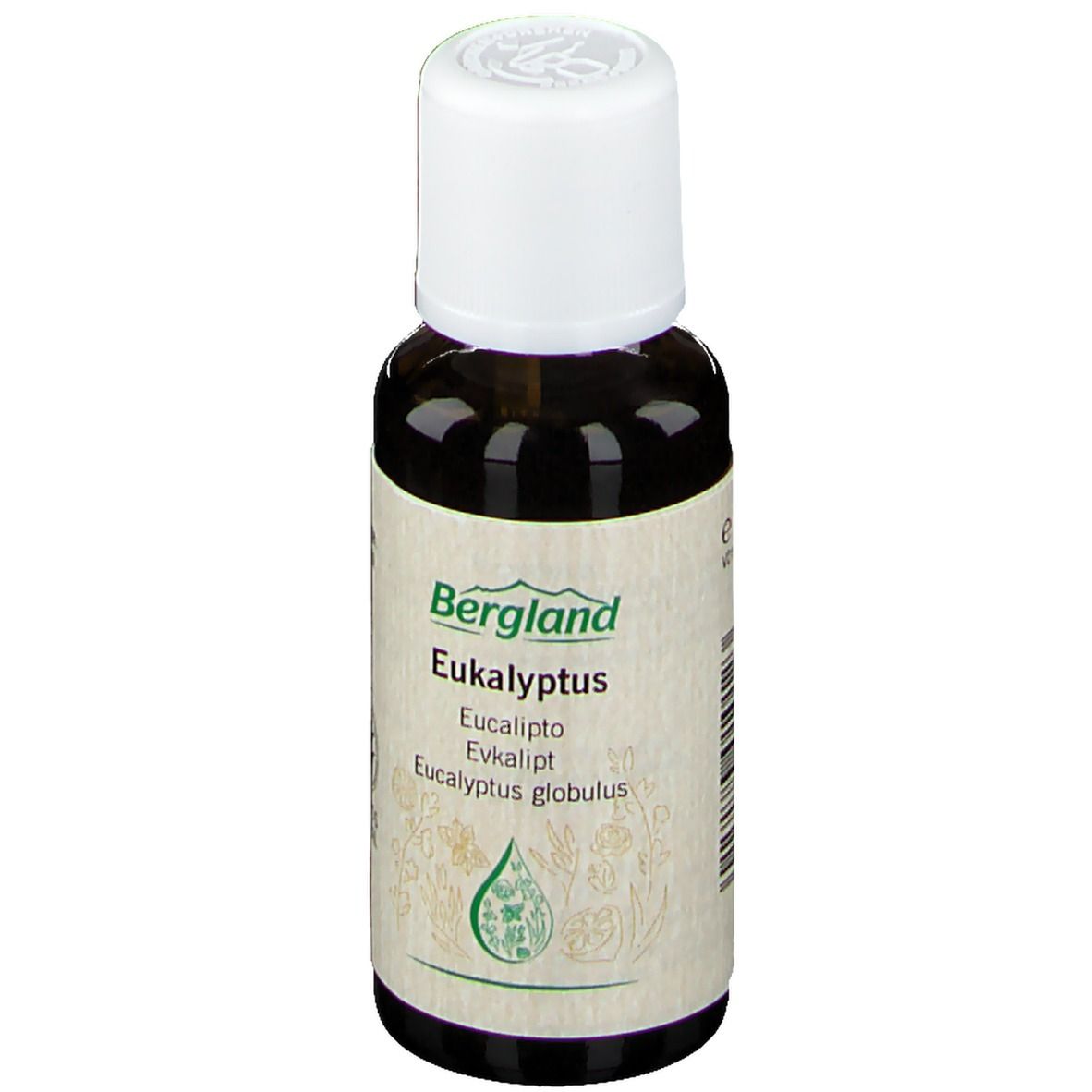 Eukalyptus ÖL natürlich 30 ml Ätherisches Öl